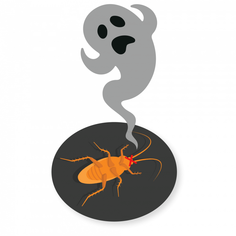 new-doctor-cockroach-herbal-product-effective-tkkinternational-copyright-2021-บริการกำจัด-แมลงสาบ-สมุนไพร
