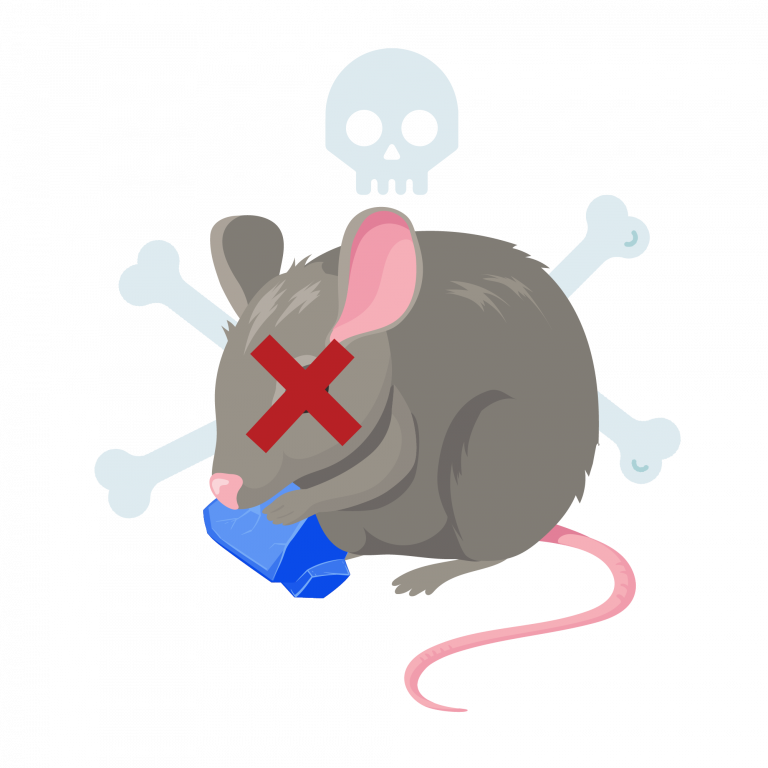 rat-away-cheminal-product-bait-effective-tkkinternational-copyright-2021-repellent-rat-herb