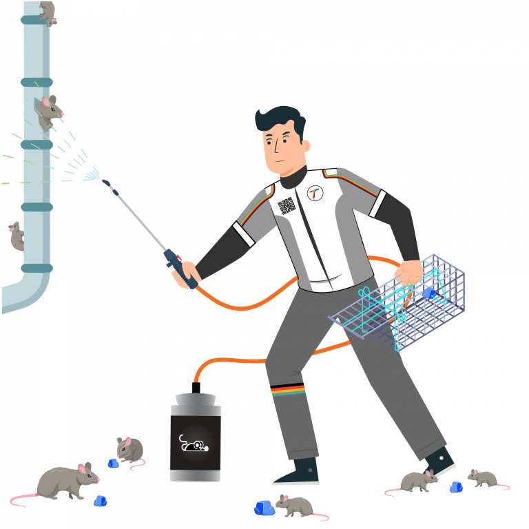 rat-away-cheminal-product-double-action-tkkinternational-copyright-2021-บริการไล่-กำจัด-หนู-สมุนไพร
