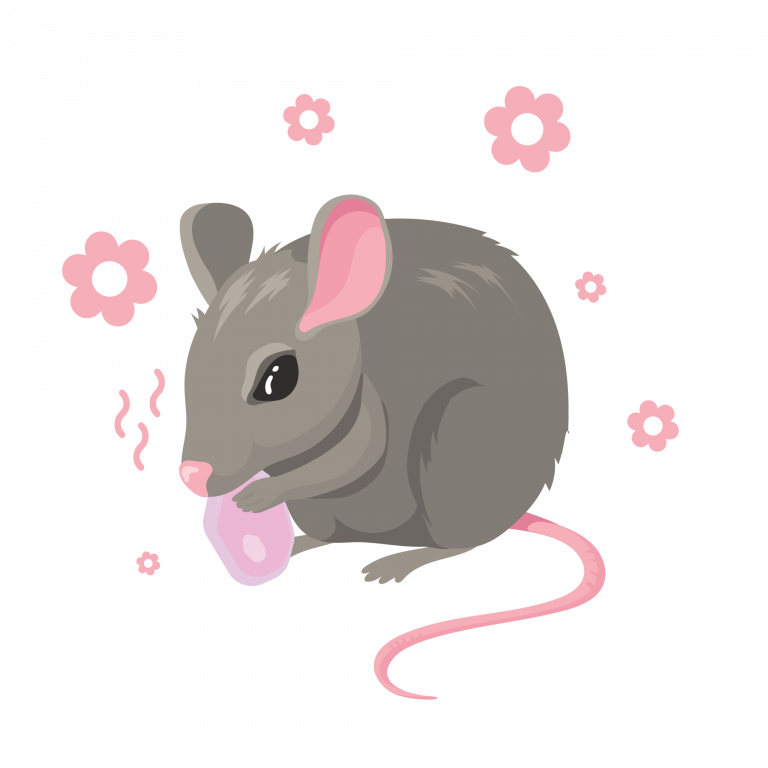 rat-away-herbal-bait-effective-tkkinternational-copyright-2021-repellent-rat-herb